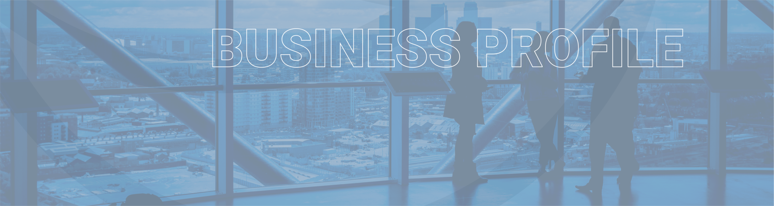 Business profile